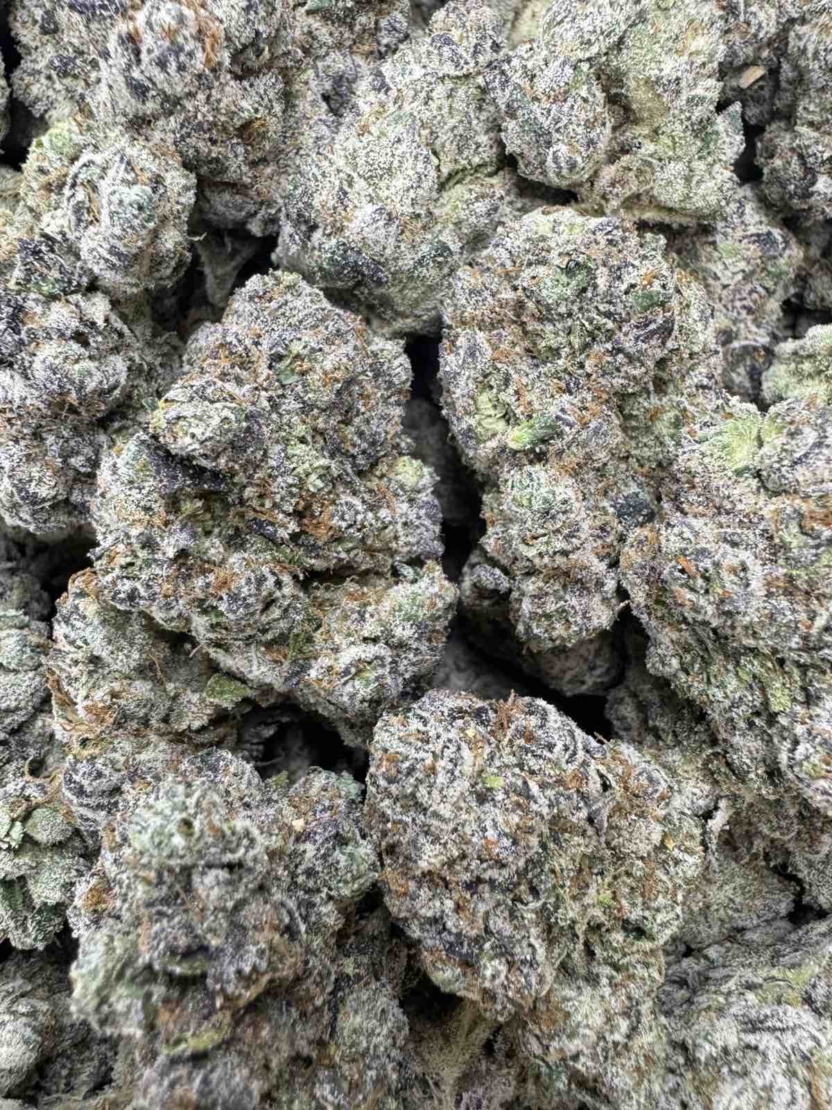 Lemon Cherry Gelato